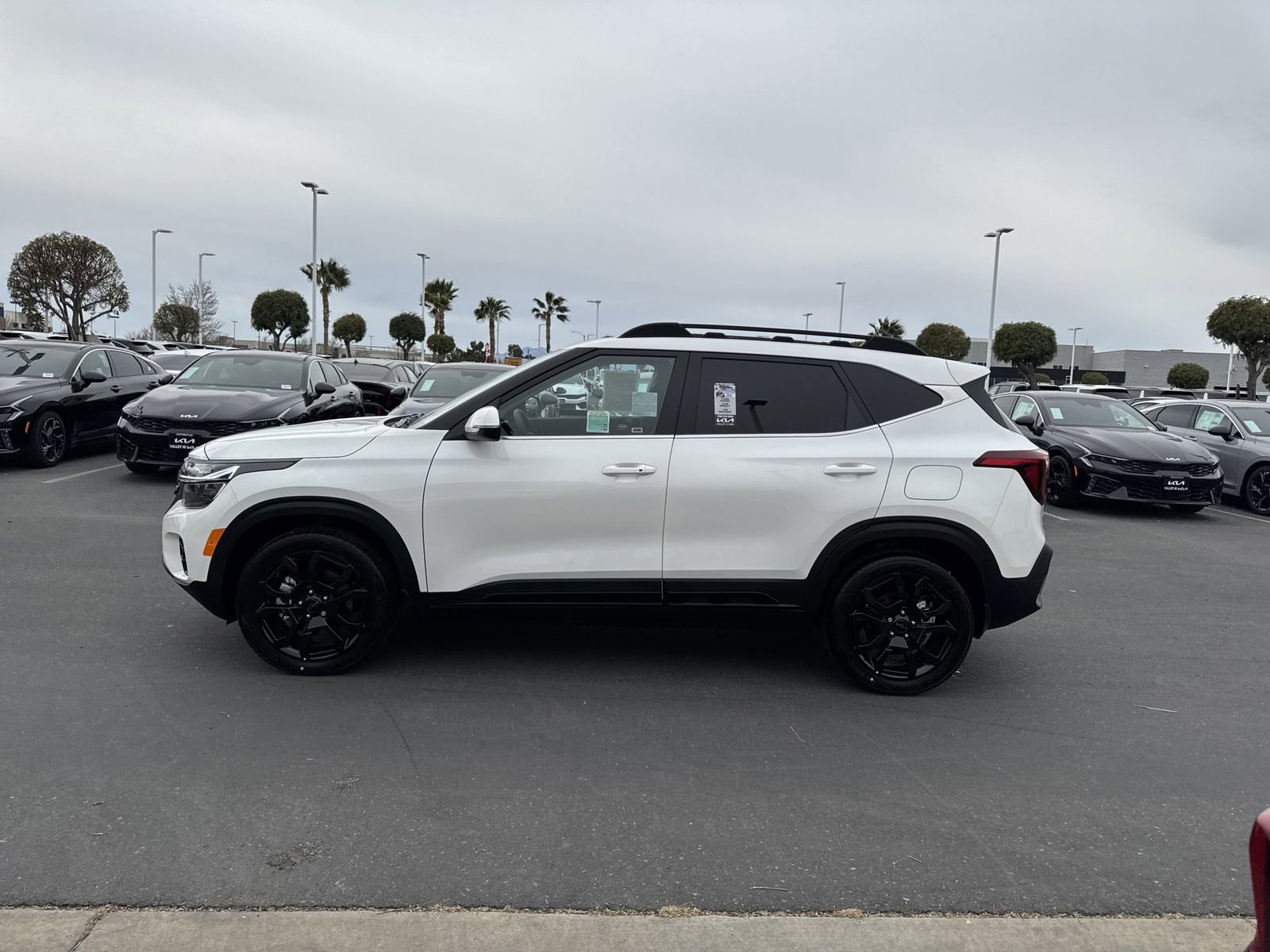 Used 2025 Kia Seltos X-Line image 11