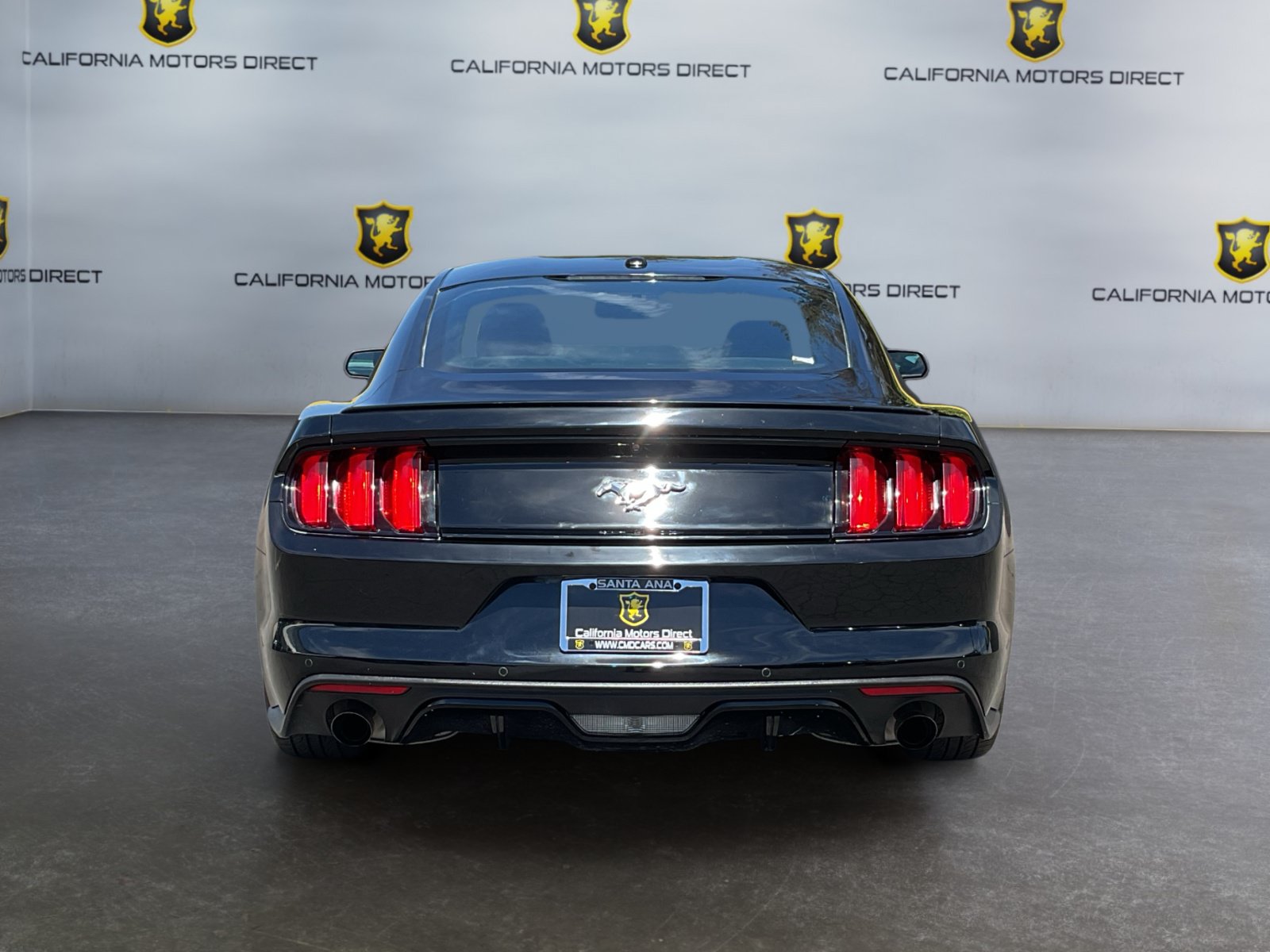 Used 2017 Ford Mustang Premium w/ Equipment Group 201A RWD image 6