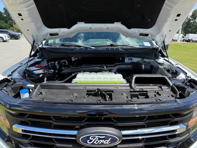 Used 2025 Ford F150 XLT w/ Equipment Group 301A Standard AWD/4WD image 29