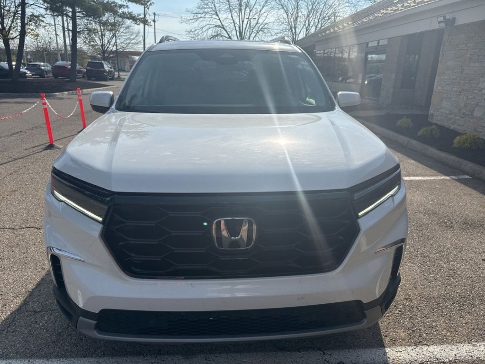 Used 2024 Honda Pilot Elite image 6