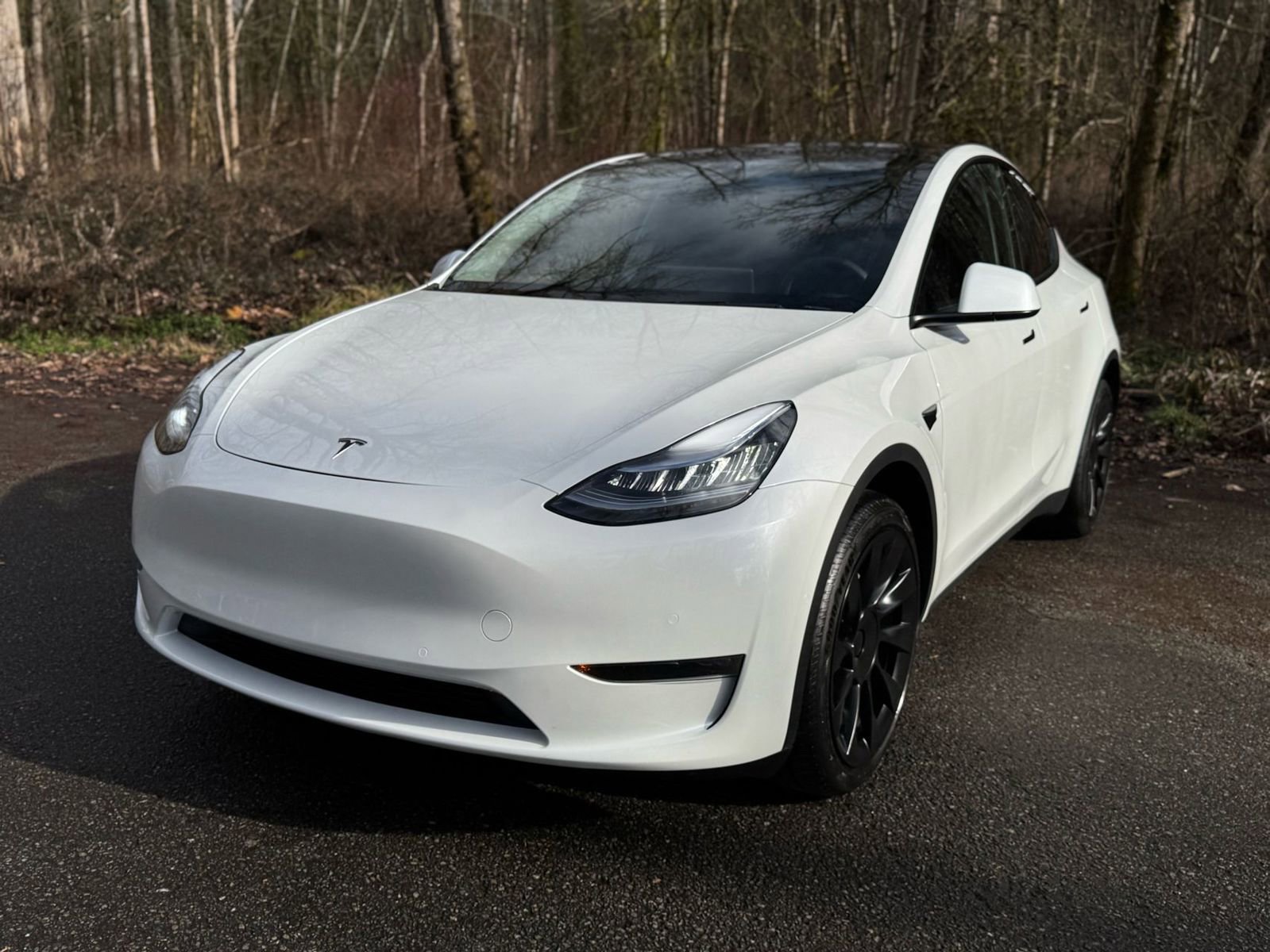 Used 2020 Tesla Model Y Long Range