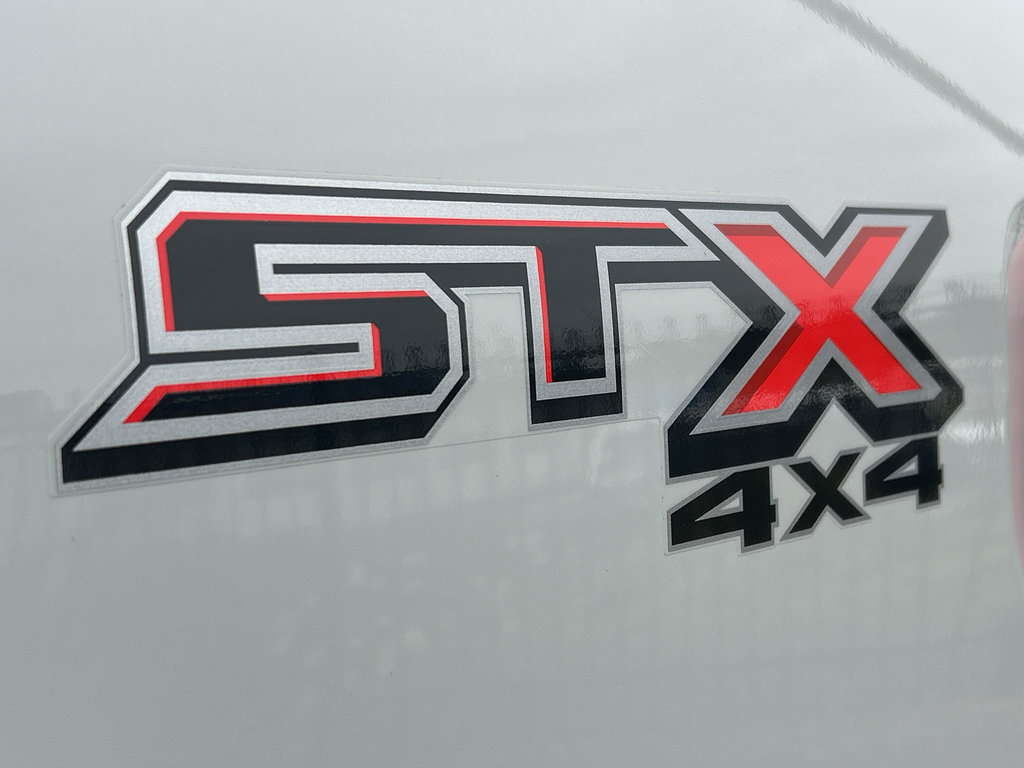 Used 2023 Ford F150 XL w/ STX Appearance Package AWD/4WD image 13