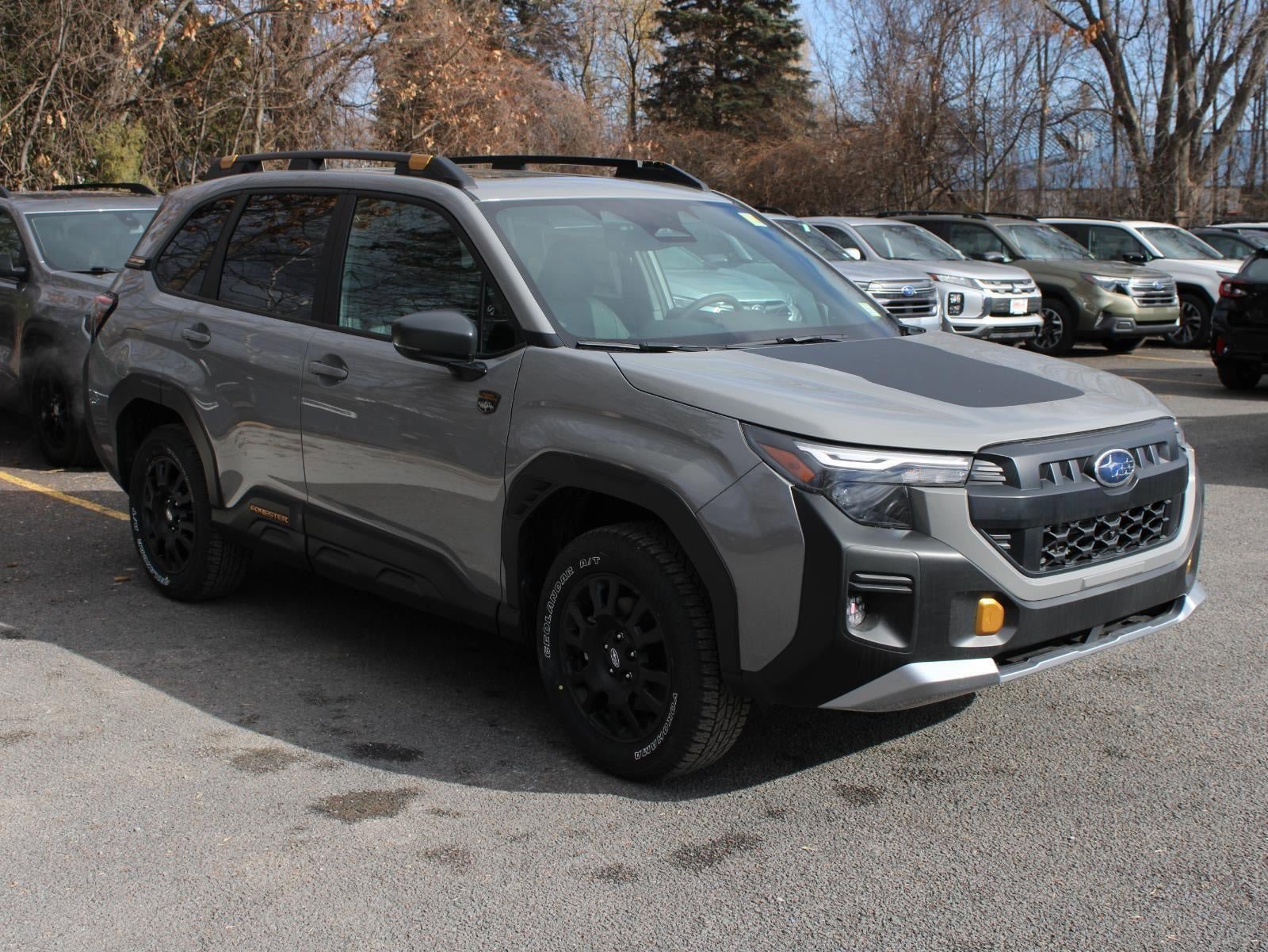 New 2026 Subaru Forester Wilderness AWD/4WD image 3
