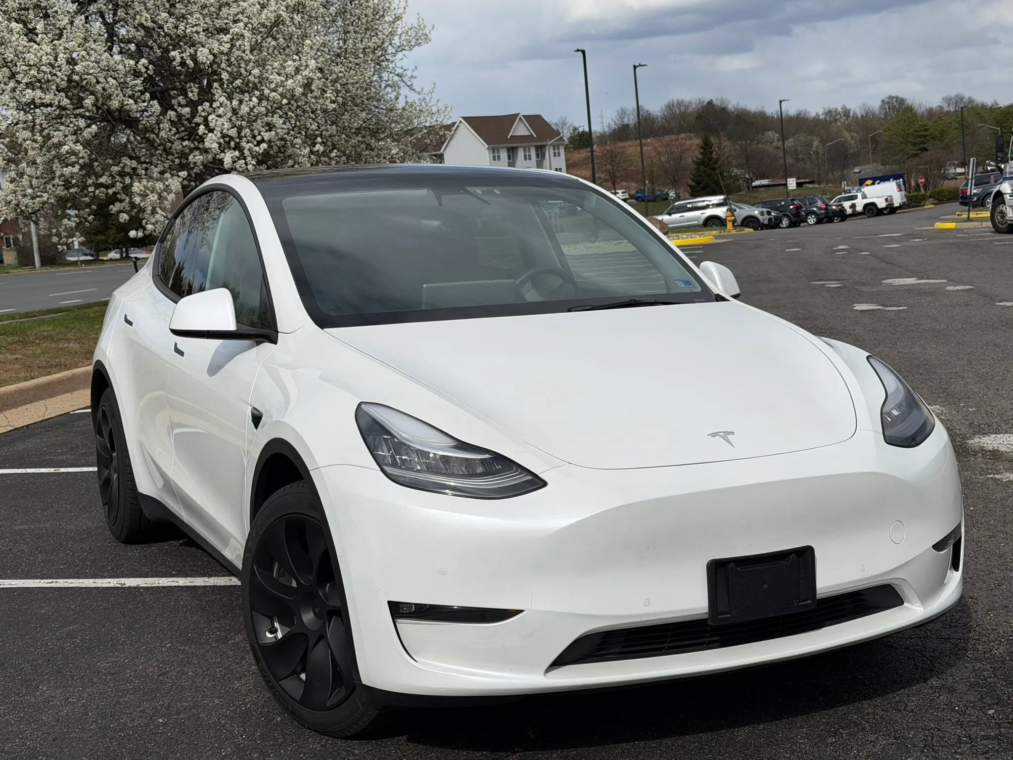 Used 2021 Tesla Model Y Long Range image 3