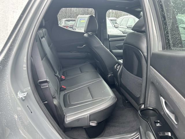 Certified 2024 Hyundai Santa Cruz Limited image 14