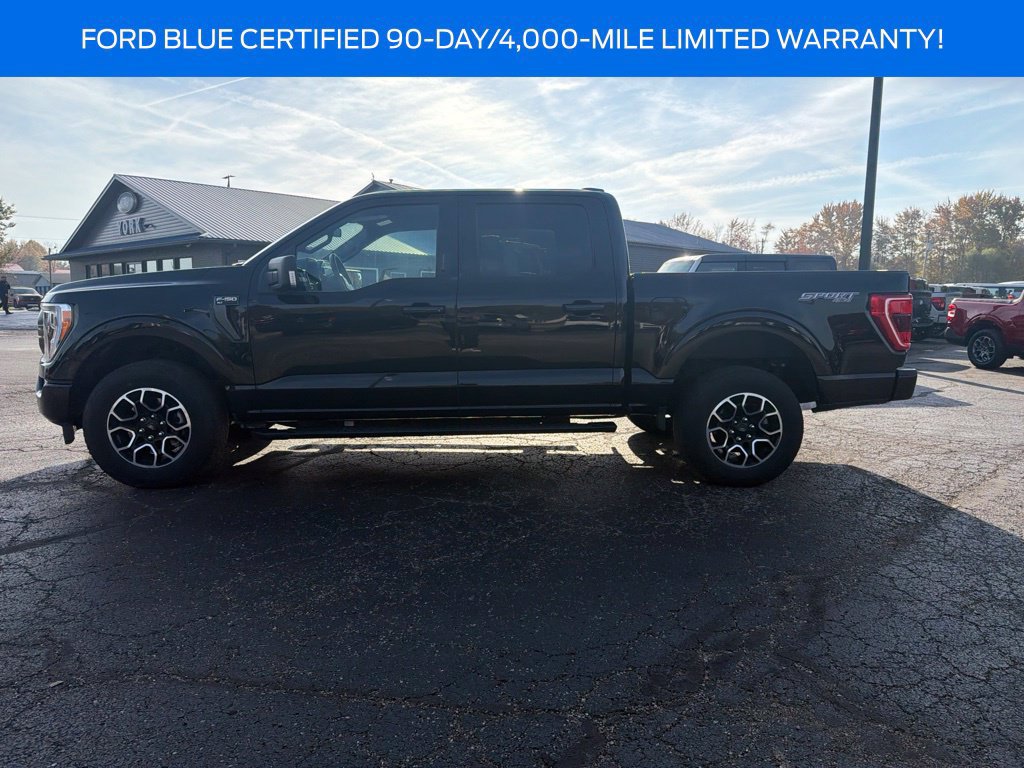 Used 2023 Ford F150 XLT w/ Equipment Group 302A High AWD/4WD image 3
