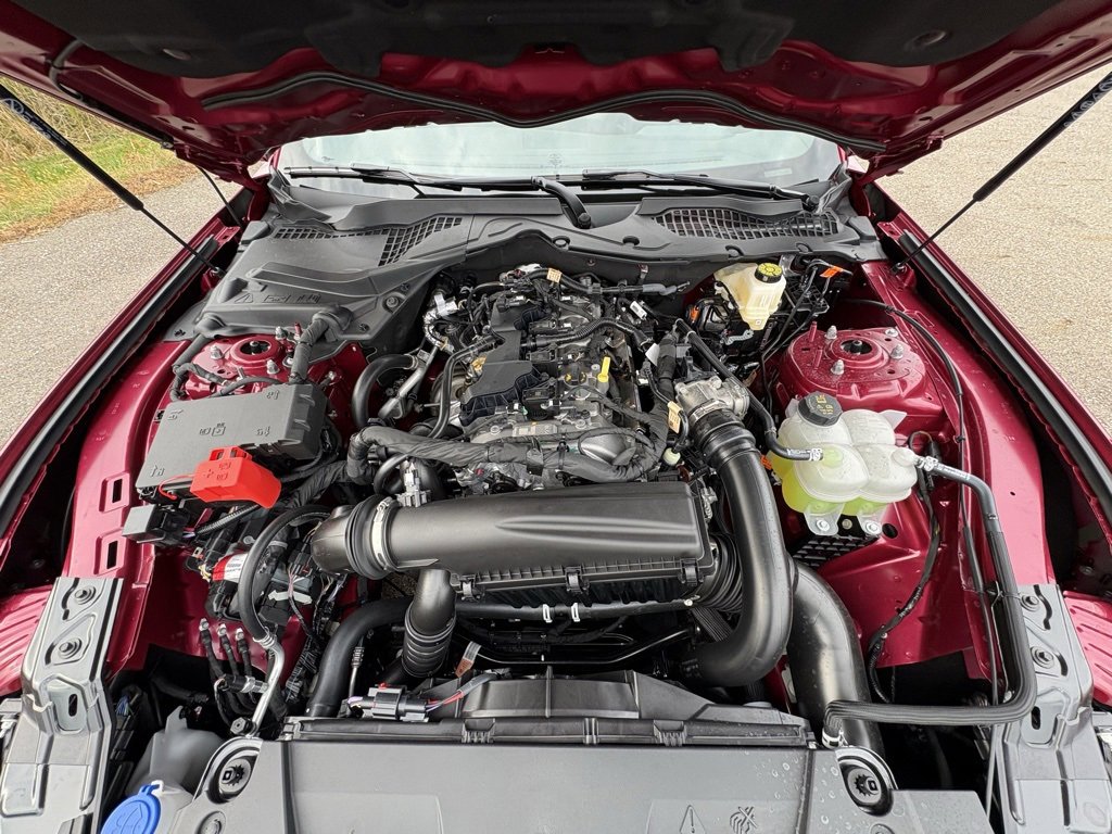 New 2026 Ford Mustang EcoBoost w/ Bronze Appearance Package image 16