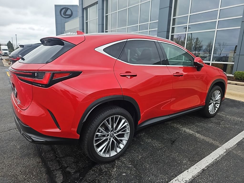 Used 2025 Lexus NX 350h AWD w/ Cold Area Package image 3