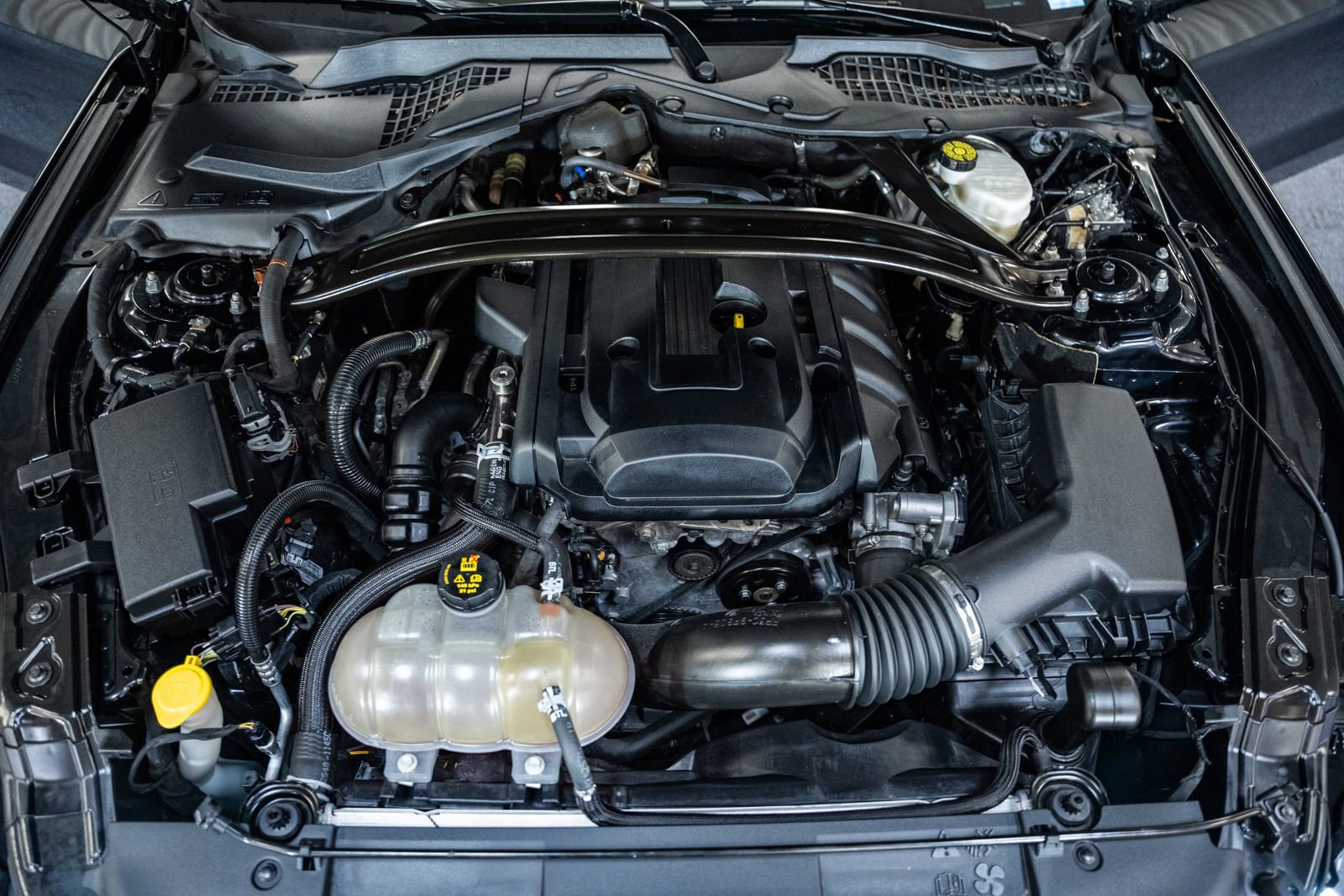 Used 2019 Ford Mustang Premium w/ Ecoboost Performance Package image 25