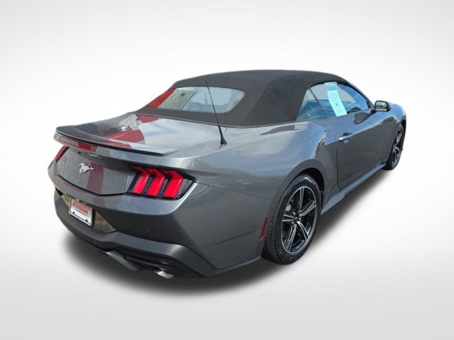 Used 2025 Ford Mustang Premium RWD image 7