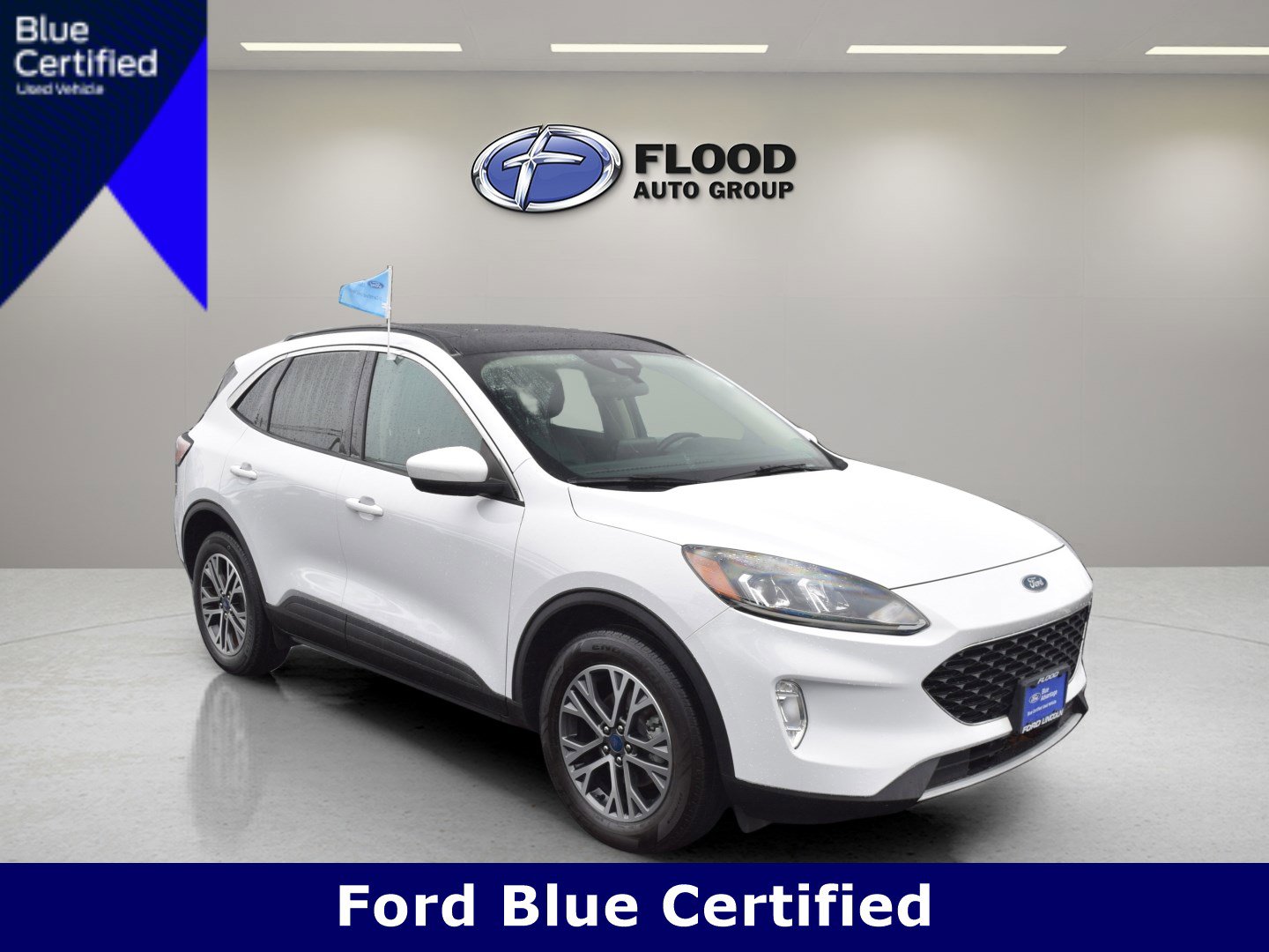 Used 2020 Ford Escape SEL