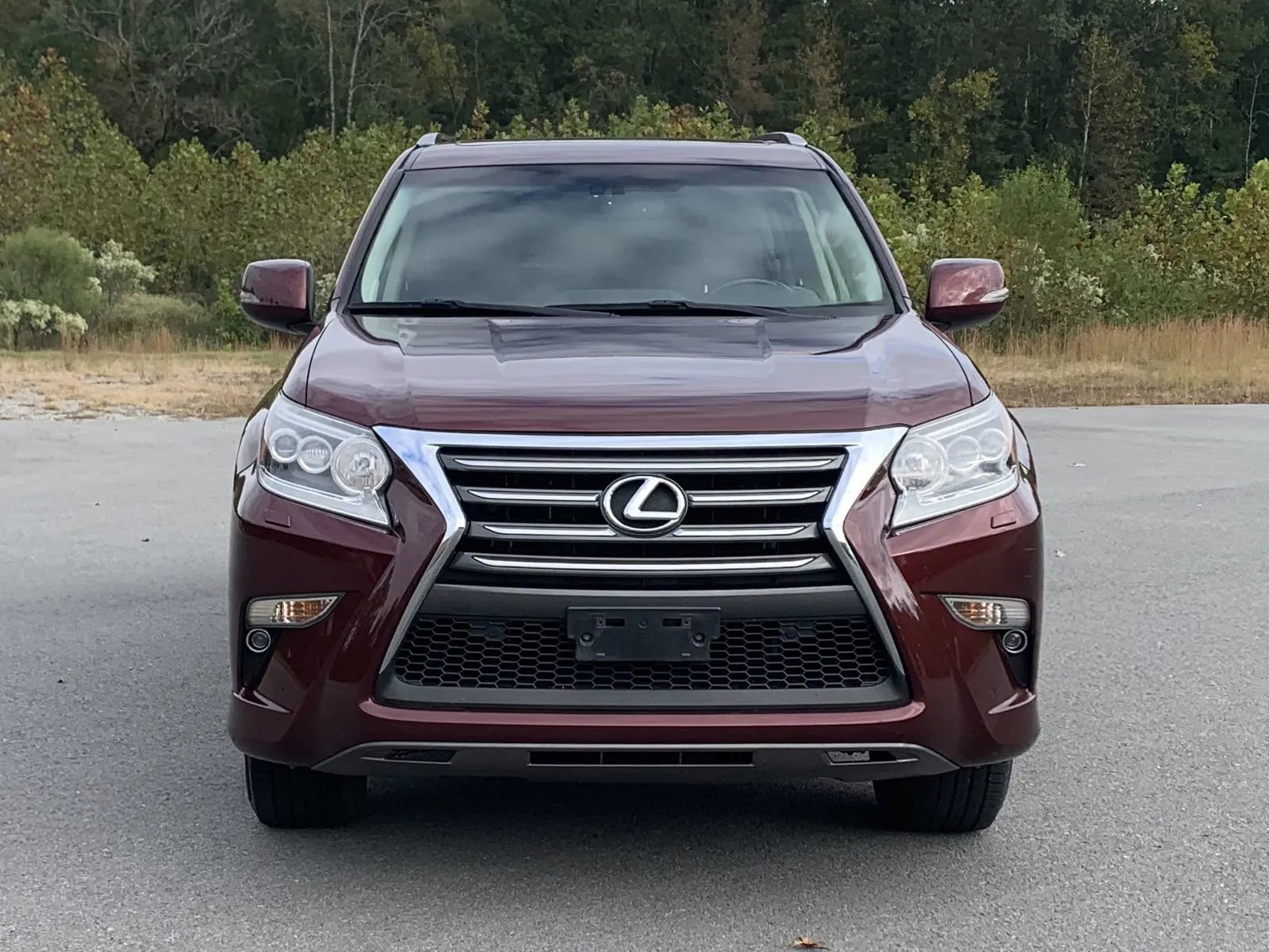 Used 2014 Lexus GX 460 Luxury image 2
