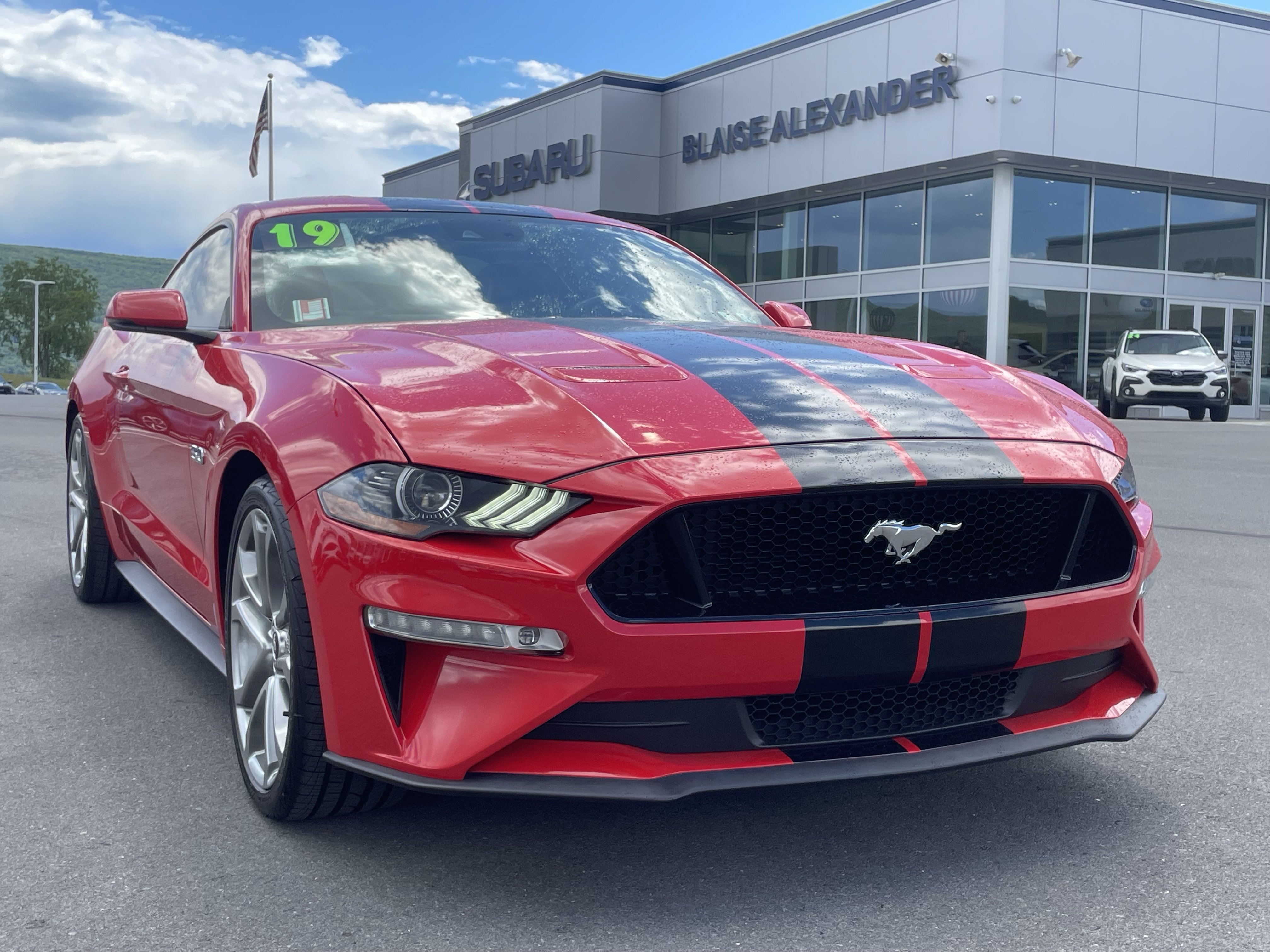 Used 2019 Ford Mustang GT Premium w/ Equipment Group 401A