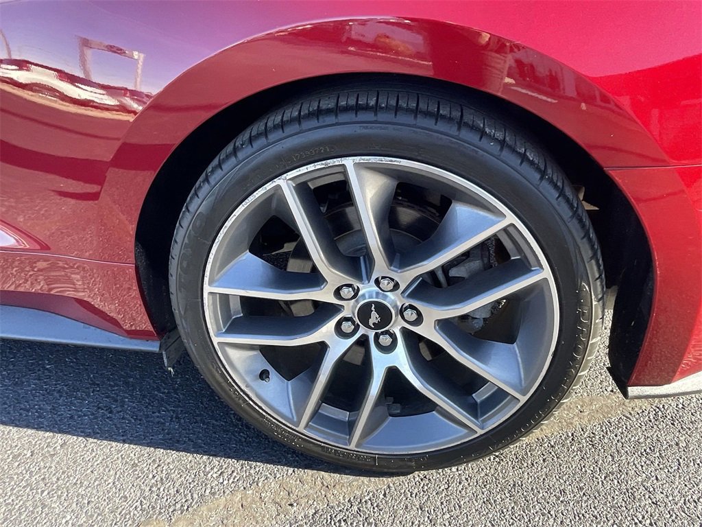 Used 2017 Ford Mustang GT Premium w/ Equipment Group 401A image 7