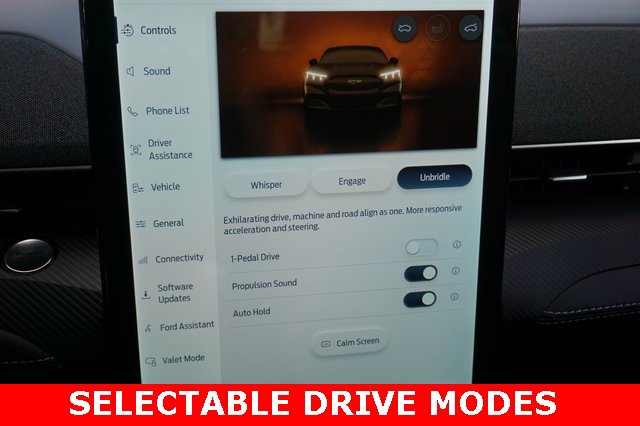 Used 2025 Ford Mustang Mach-E Premium image 10