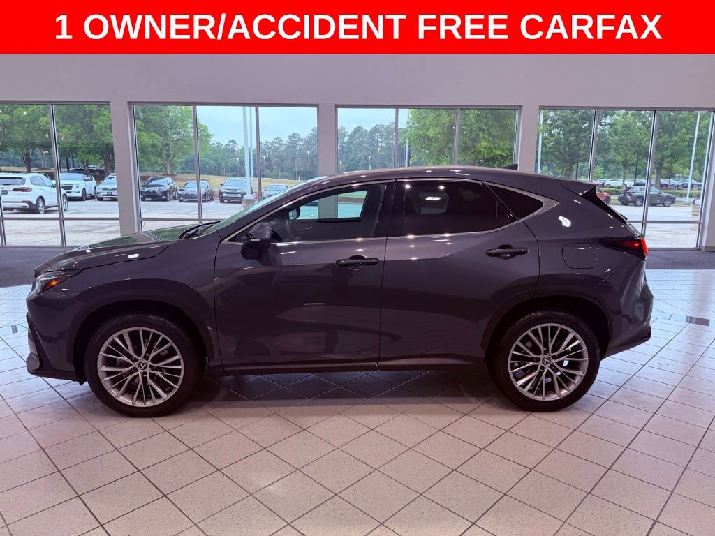 Certified 2025 Lexus NX 350 AWD w/ Cold Area Package image 5