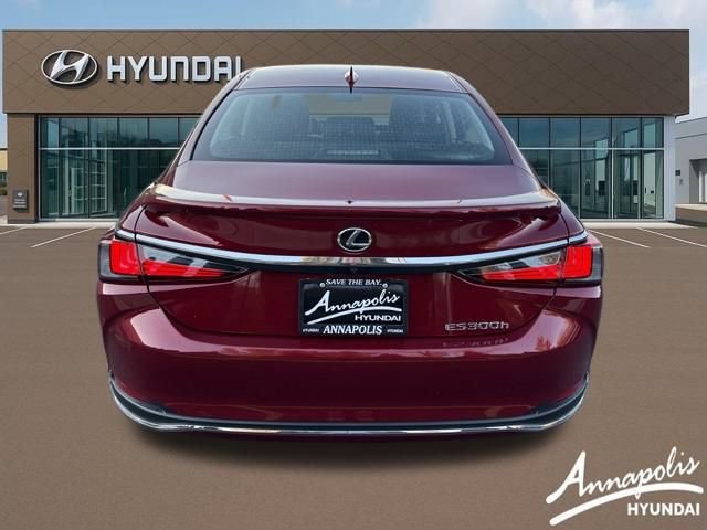 Used 2024 Lexus ES 300h w/ Premium Package image 4