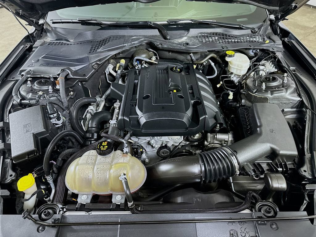 Used 2019 Ford Mustang Premium w/ Equipment Group 201A image 9