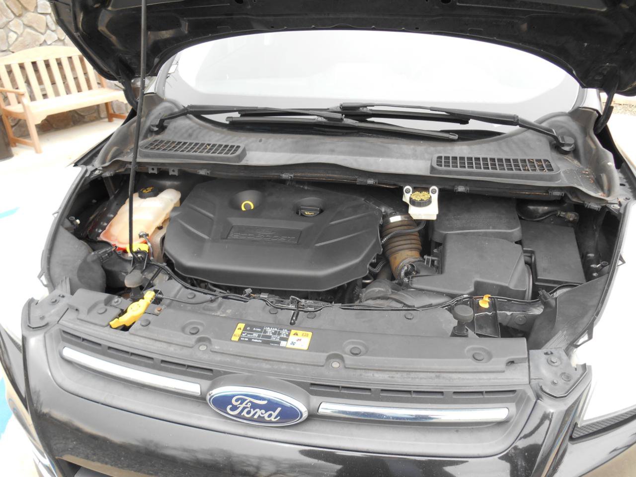 Used 2014 Ford Escape SE w/ SE Chrome Package image 11