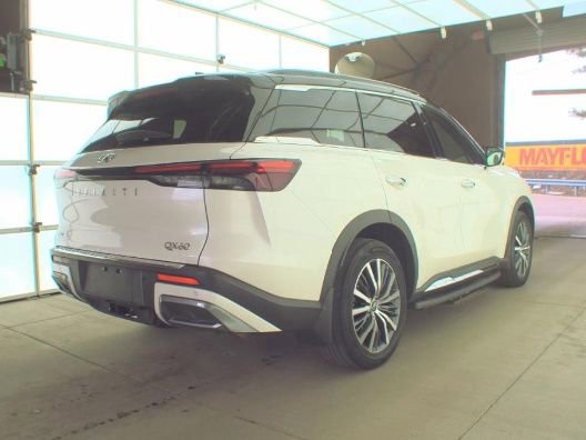 Used 2023 INFINITI QX60 Autograph image 3