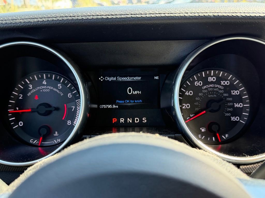 Used 2019 Ford Mustang EcoBoost w/ Equipment Group 101A image 16