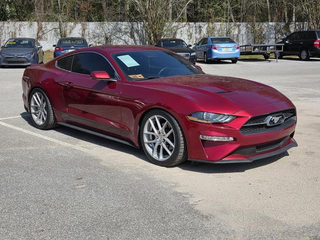 Used 2019 Ford Mustang Premium w/ Equipment Group 201A image 1