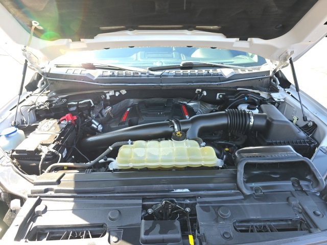 Used 2019 Ford F150 Raptor w/ Equipment Group 802A Luxury image 30