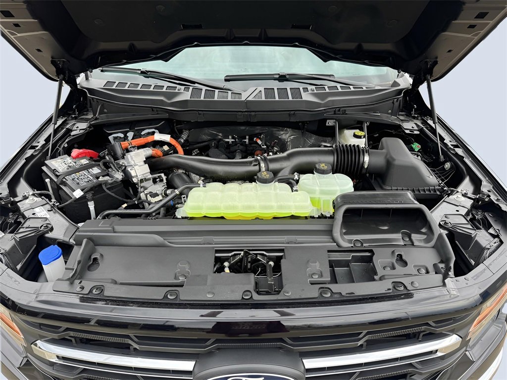 New 2025 Ford F150 XLT w/ Equipment Group 302A MID image 30