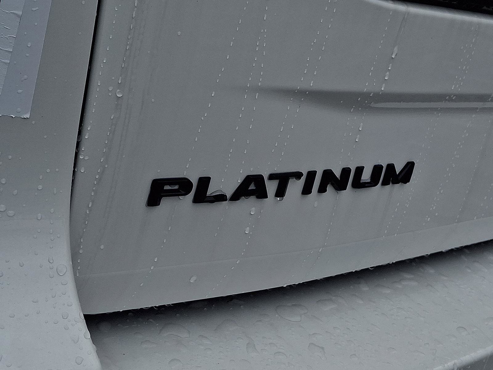 New 2026 Ford Expedition Max Platinum image 20