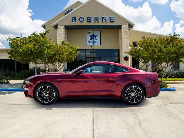 Used 2019 Ford Mustang Premium w/ Equipment Group 201A image 2