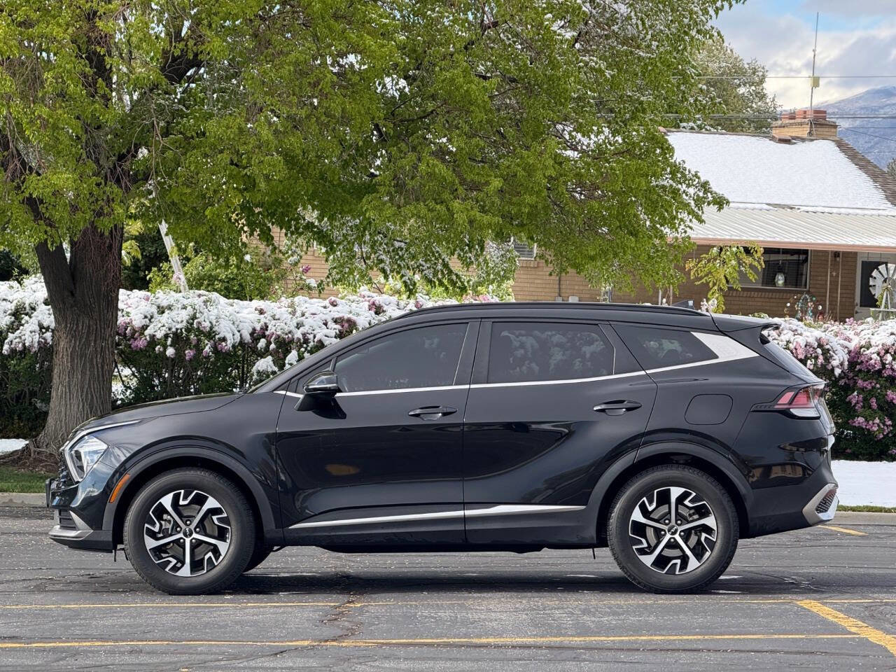 Used 2023 Kia Sportage EX w/ EX Premium Package image 8