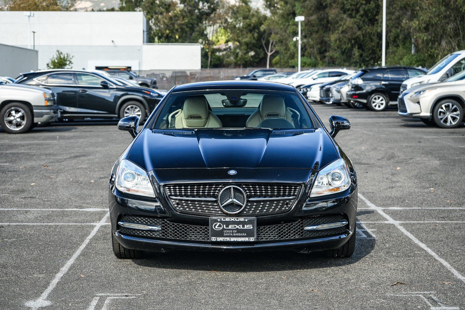 Used 2013 Mercedes-Benz SLK 250 image 2