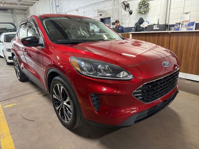 Used 2021 Ford Escape SE w/ SE Sport Appearance Package image 3