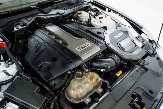Used 2019 Ford Mustang GT Premium w/ Equipment Group 401A RWD image 32