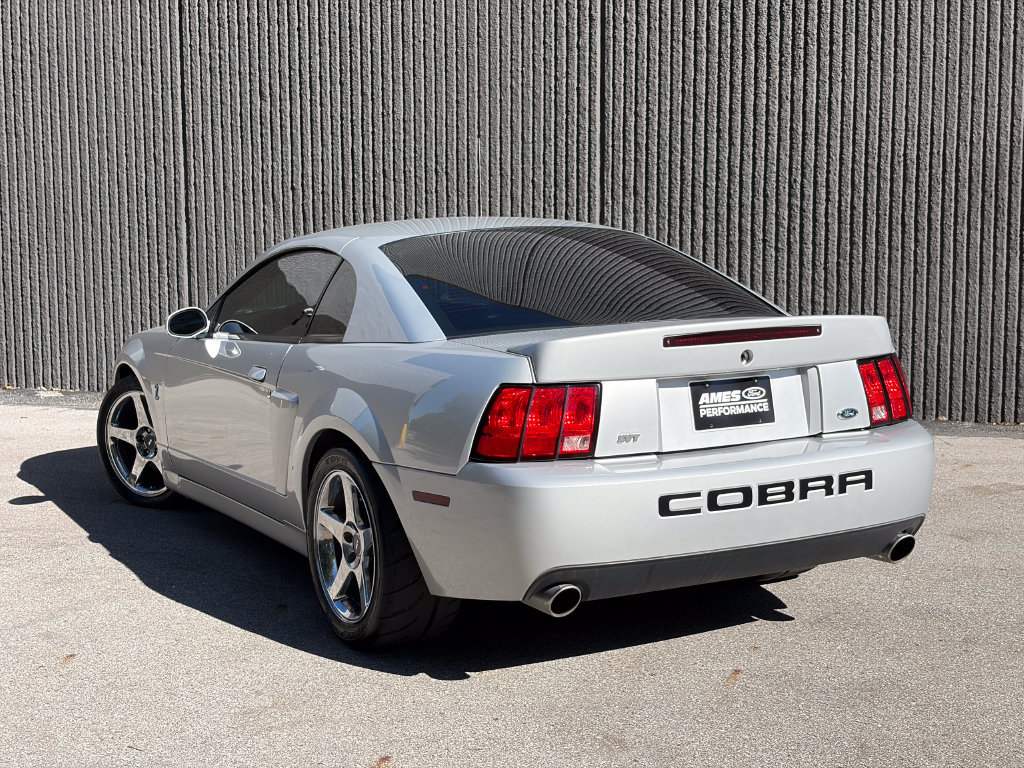 Used 2004 Ford Mustang Cobra RWD image 5