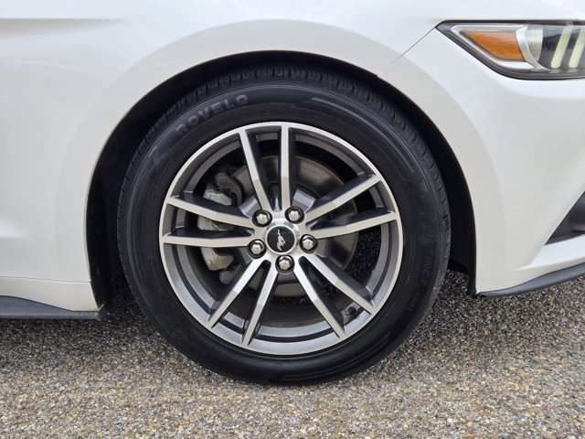 Used 2017 Ford Mustang Premium w/ Equipment Group 201A RWD image 4