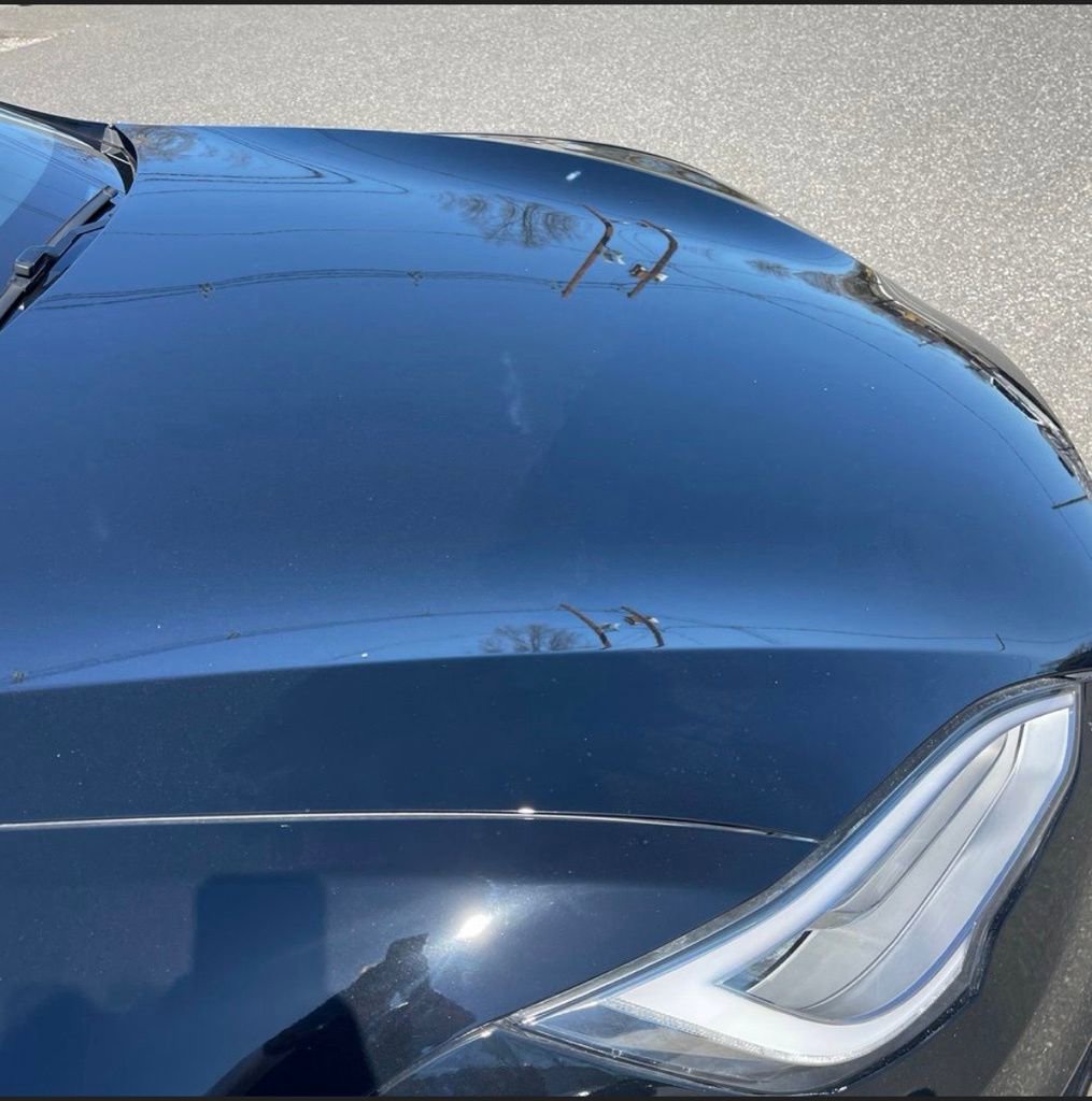 Used 2020 Tesla Model S Long Range Plus image 8