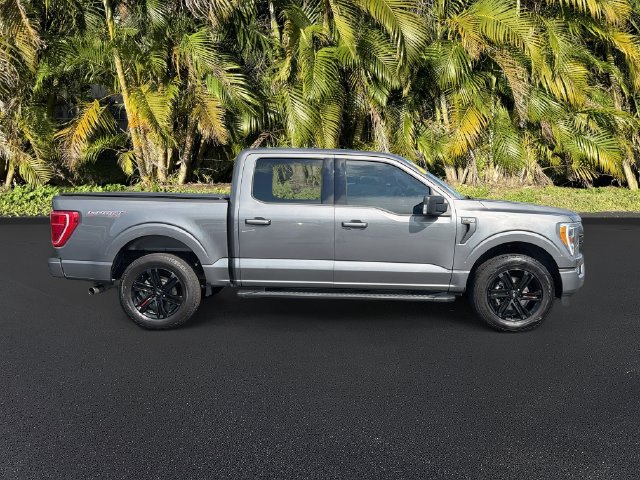 Used 2023 Ford F150 XLT w/ Equipment Group 302A High AWD/4WD image 3