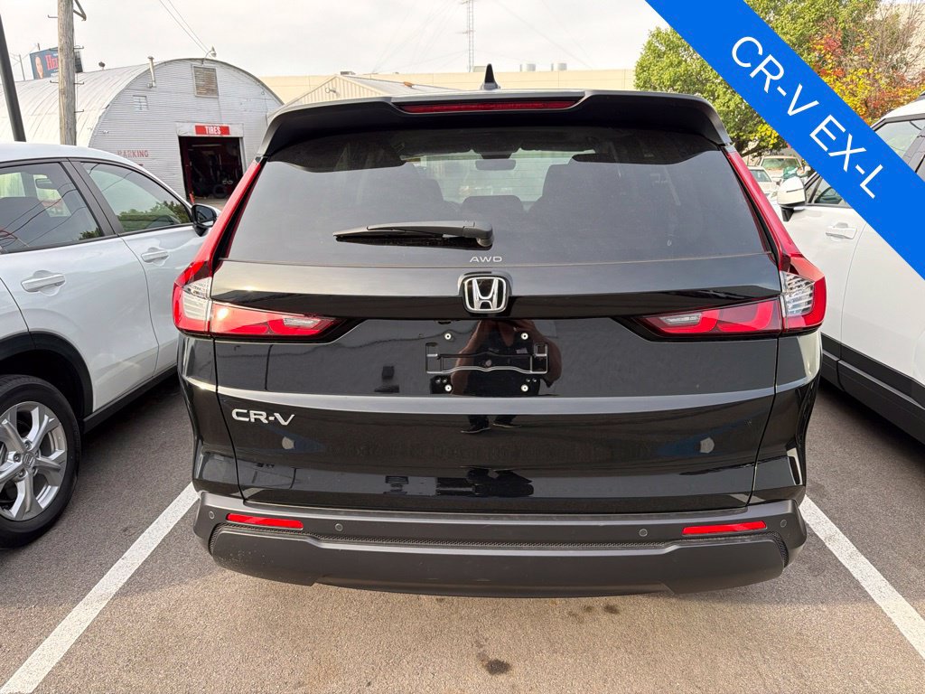 Used 2026 Honda CR-V EX-L image 3