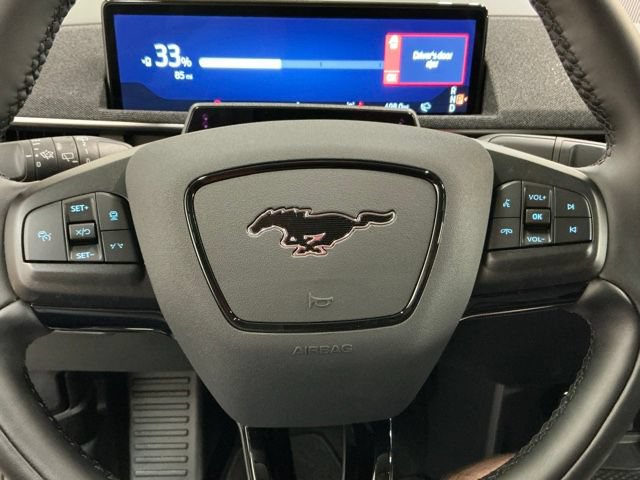 Used 2025 Ford Mustang Mach-E Premium RWD image 30