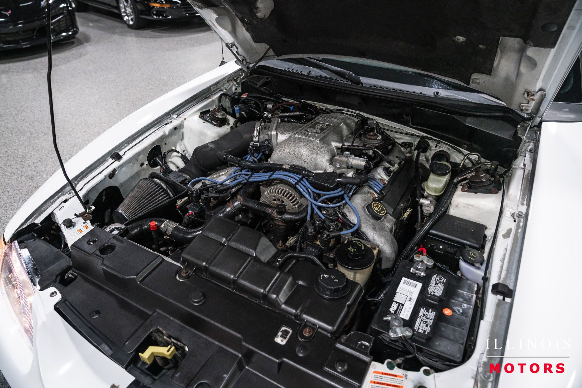 Used 1998 Ford Mustang Cobra RWD image 40