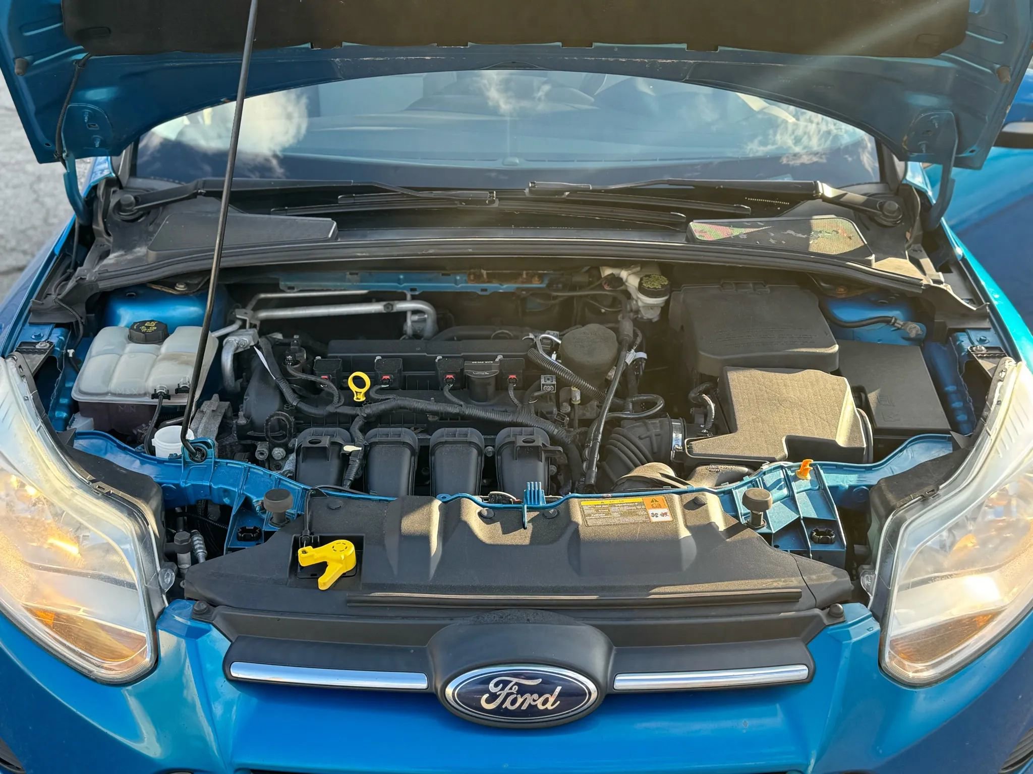 Used 2014 Ford Focus SE w/ SE Winter Package image 10