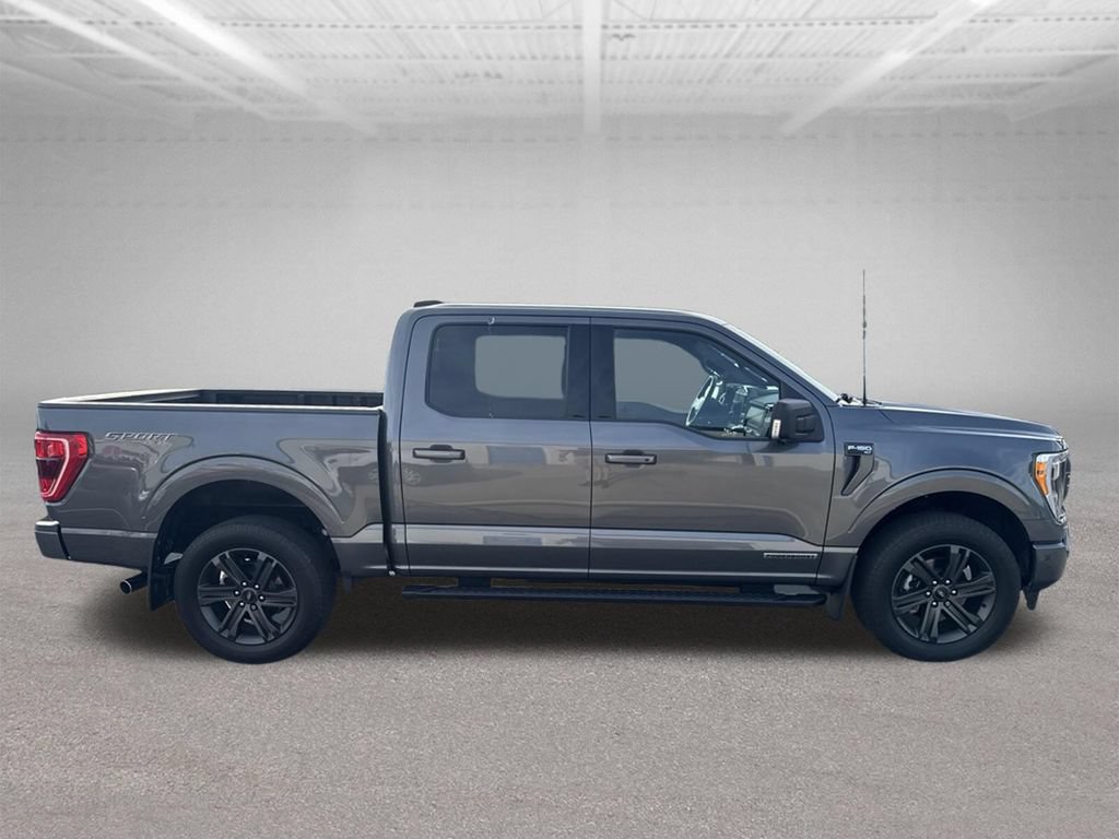 Used 2023 Ford F150 XLT w/ Equipment Group 302A High AWD/4WD image 13