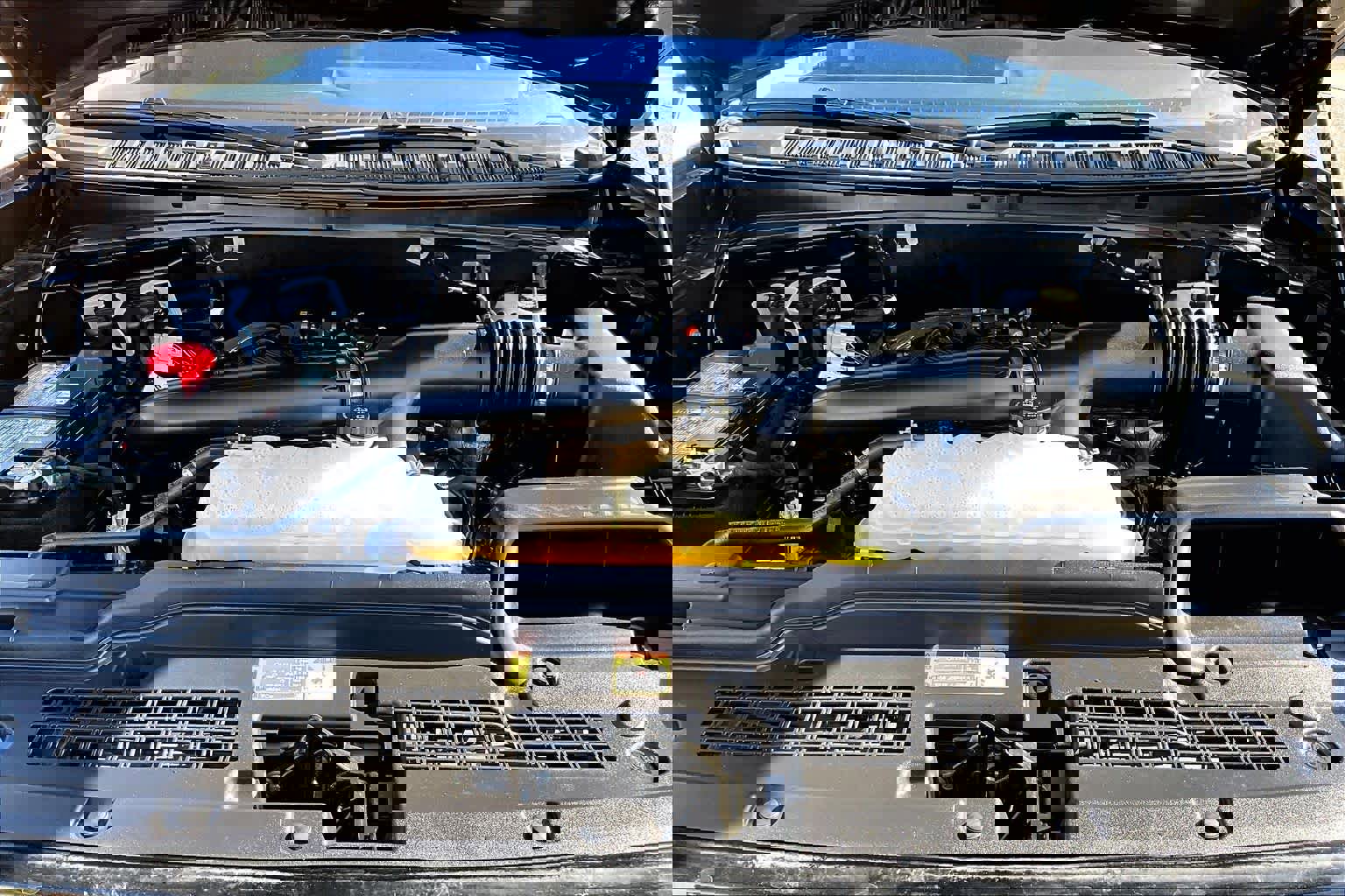 Used 2025 Ford Expedition Active image 32