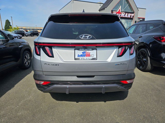 Used 2024 Hyundai Tucson Limited image 5