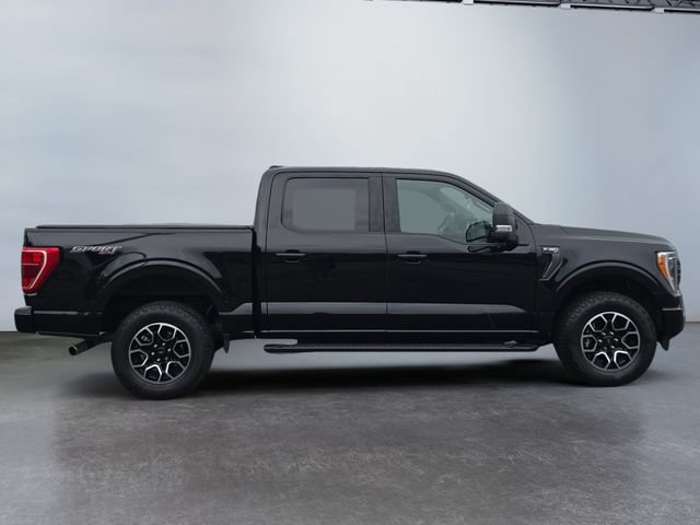 Used 2023 Ford F150 XLT w/ Equipment Group 302A High AWD/4WD image 6