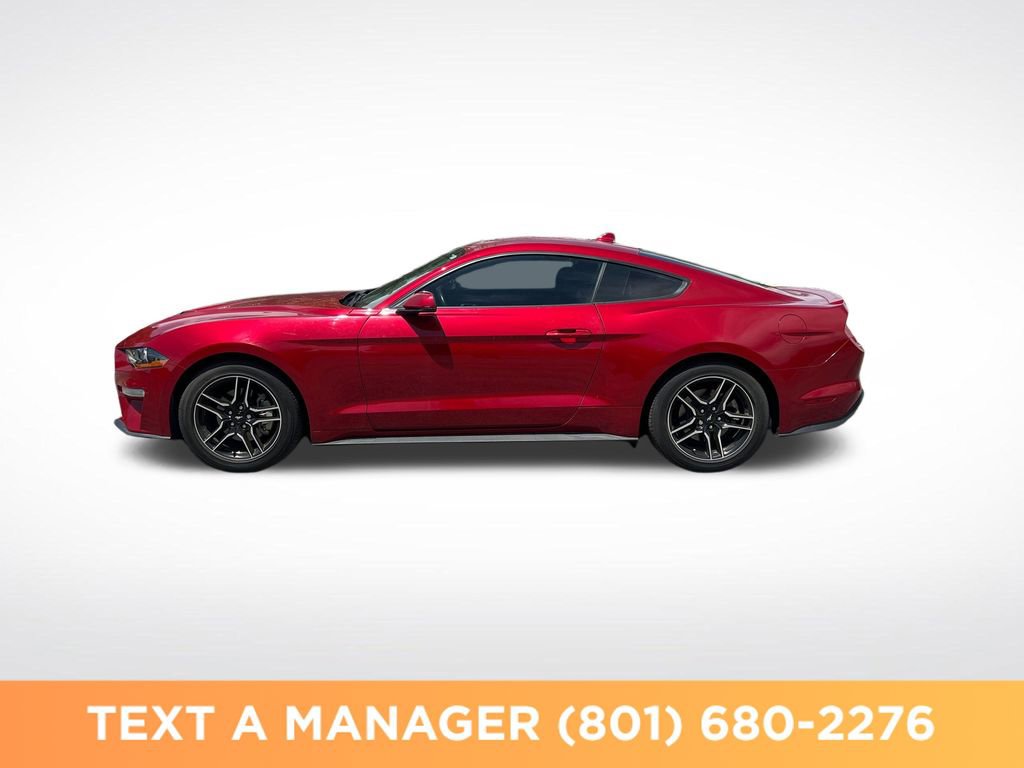 Used 2020 Ford Mustang Premium w/ Enhanced Security Package RWD image 2