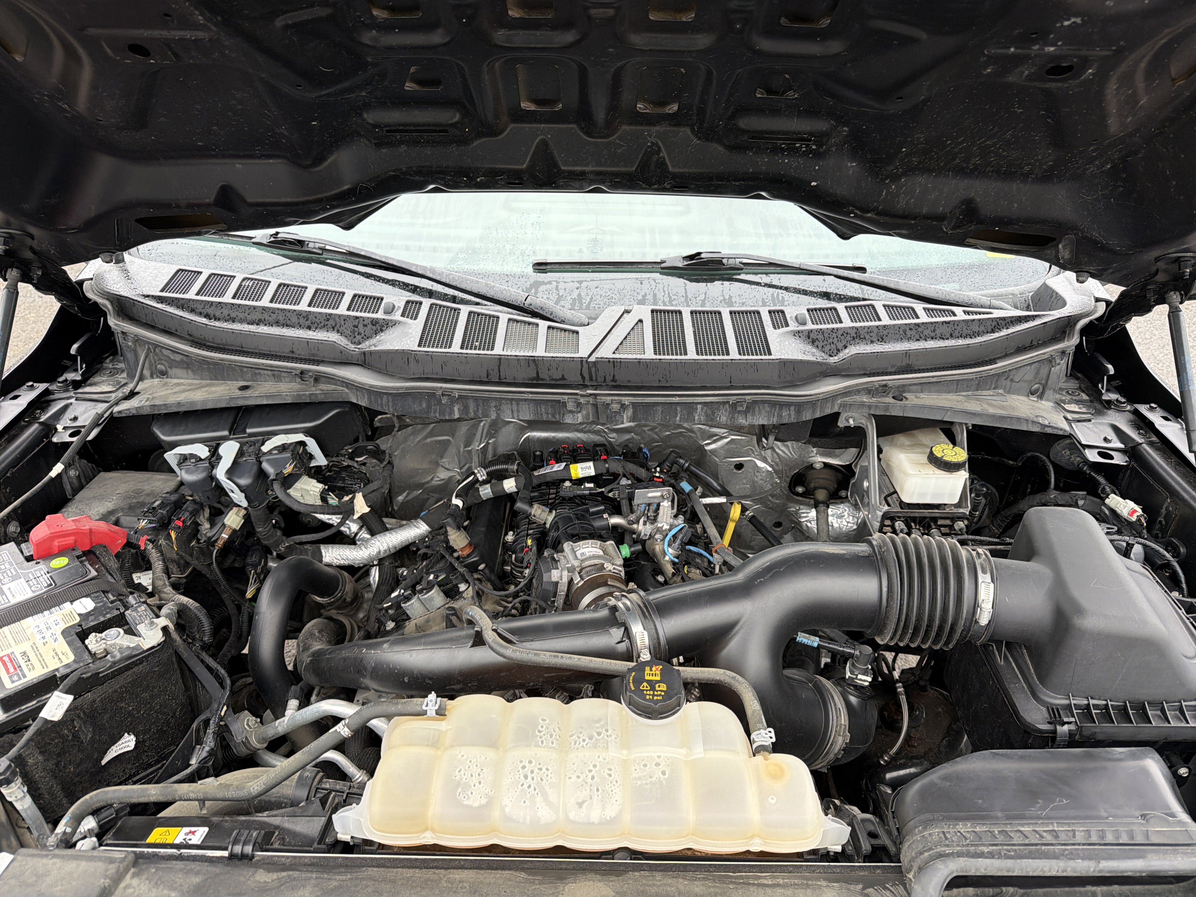 Used 2022 Ford F150 XL w/ STX Appearance Package image 10