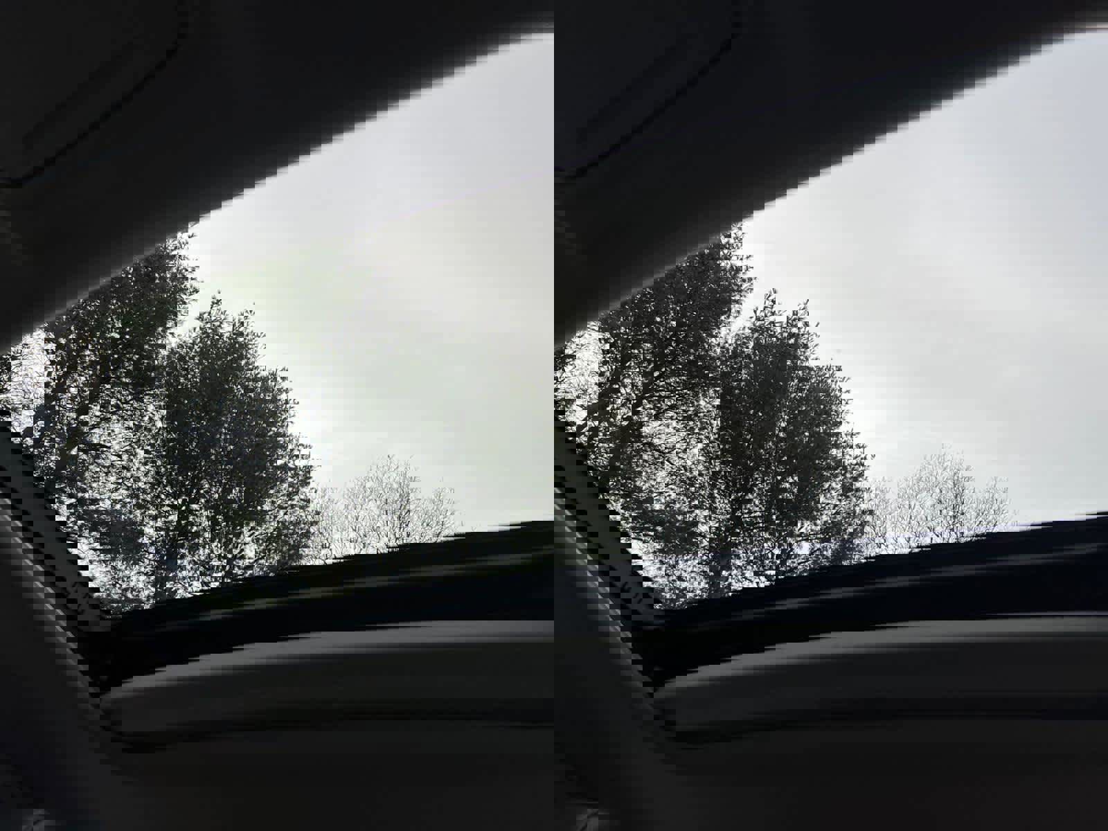 Used 2024 Acura Integra image 27