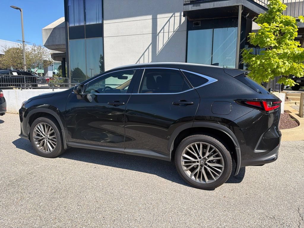 Certified 2025 Lexus NX 350 AWD w/ Accessory Package (2T) image 20